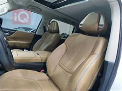 إنفينيتي QX80